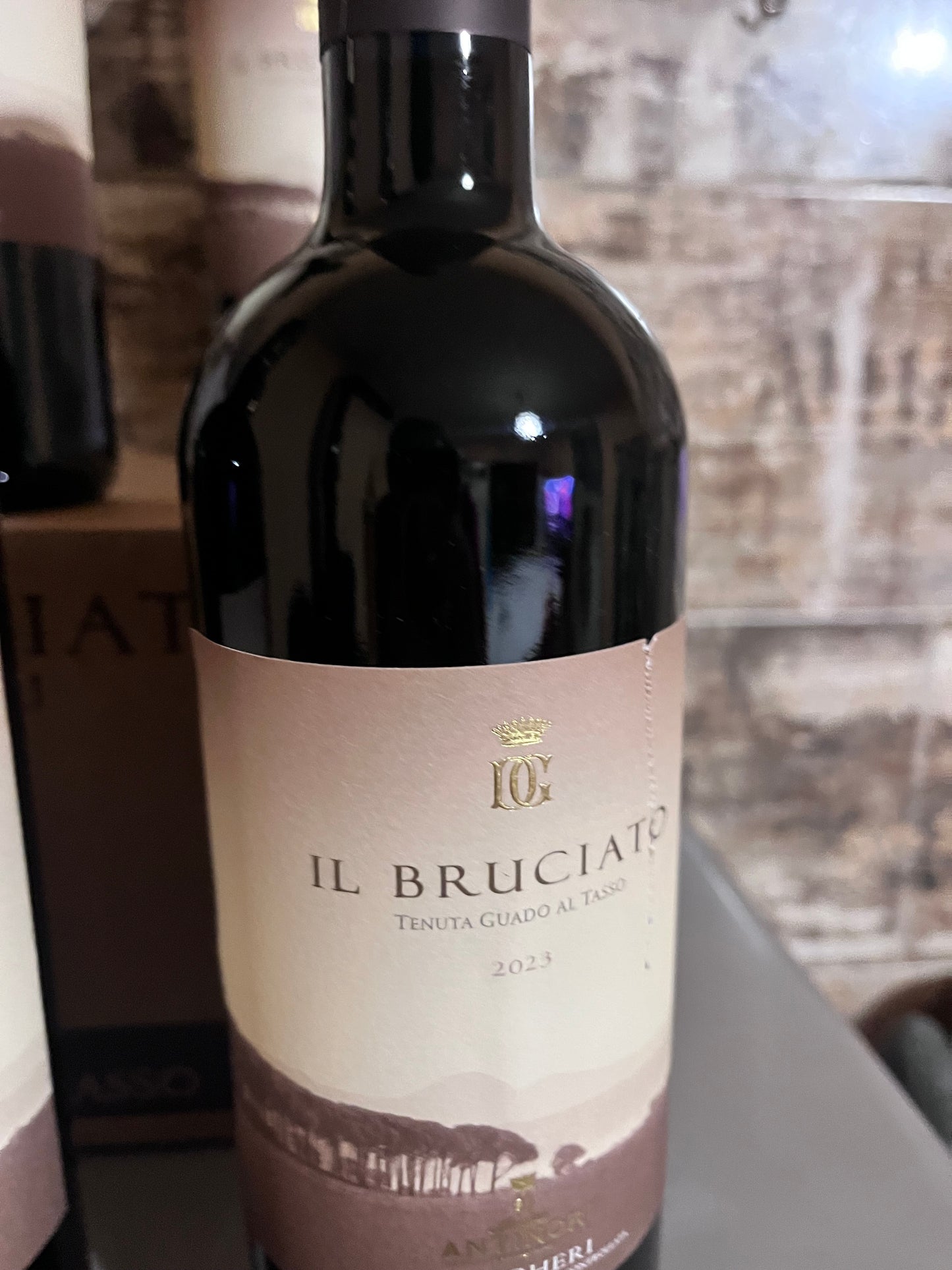 Il Bruciato Tenuta Guado al Tasso 2023 CARTONE DA 6