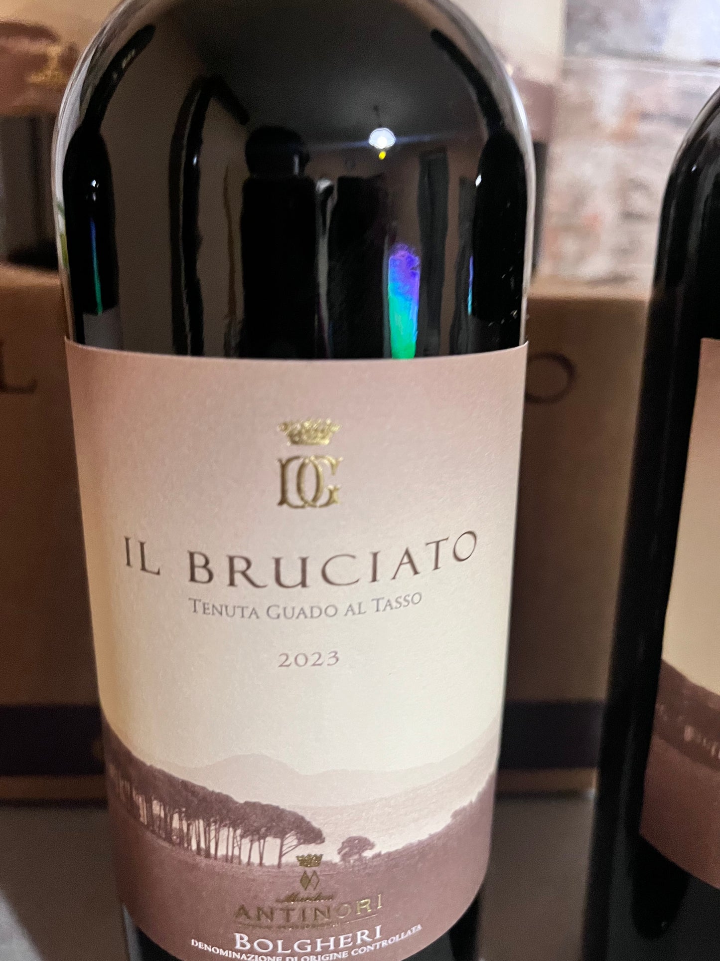 Il Bruciato Tenuta Guado al Tasso 2023 CARTONE DA 6