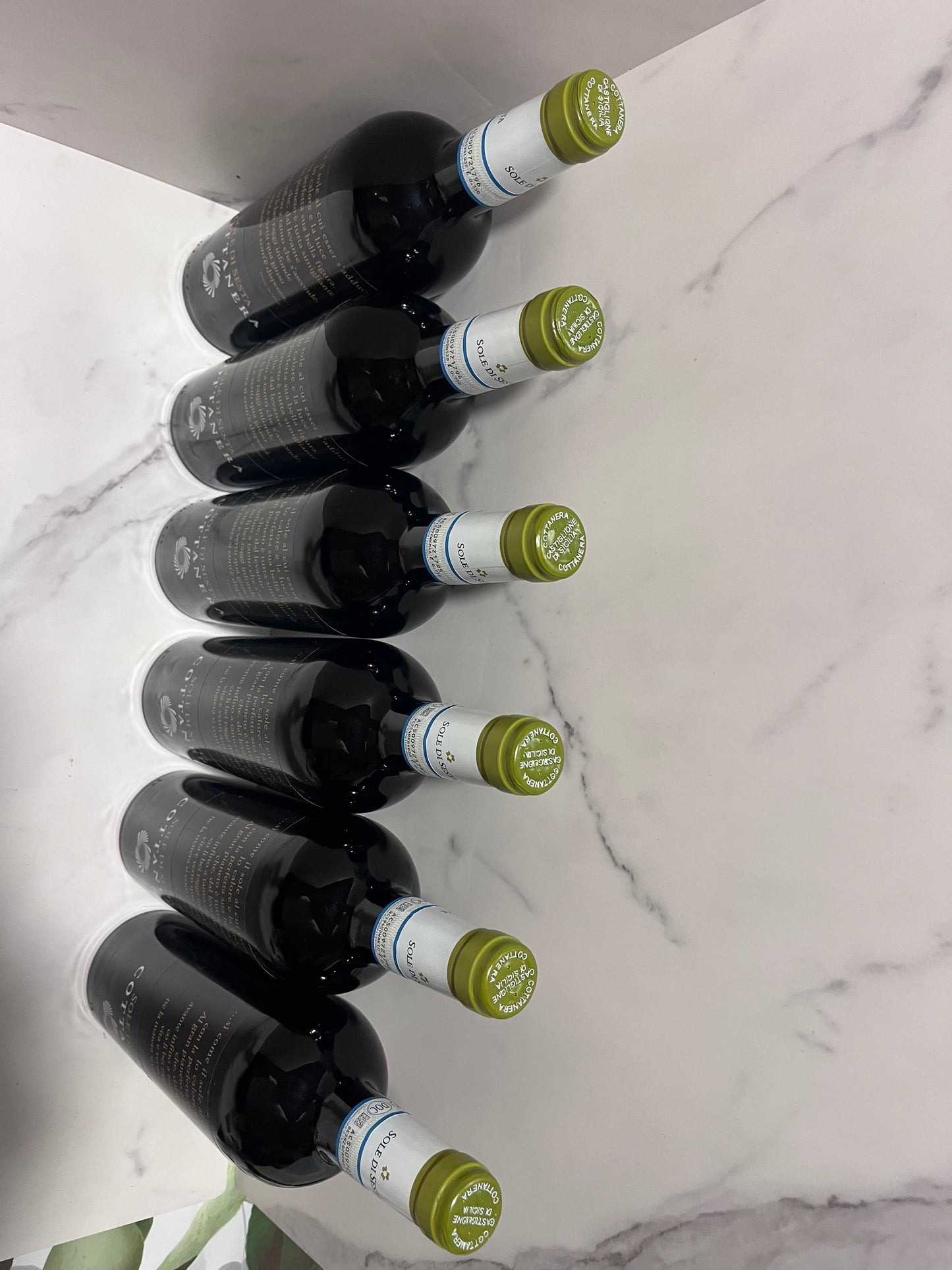 SOLE DI SESTA COTTANERA 2023