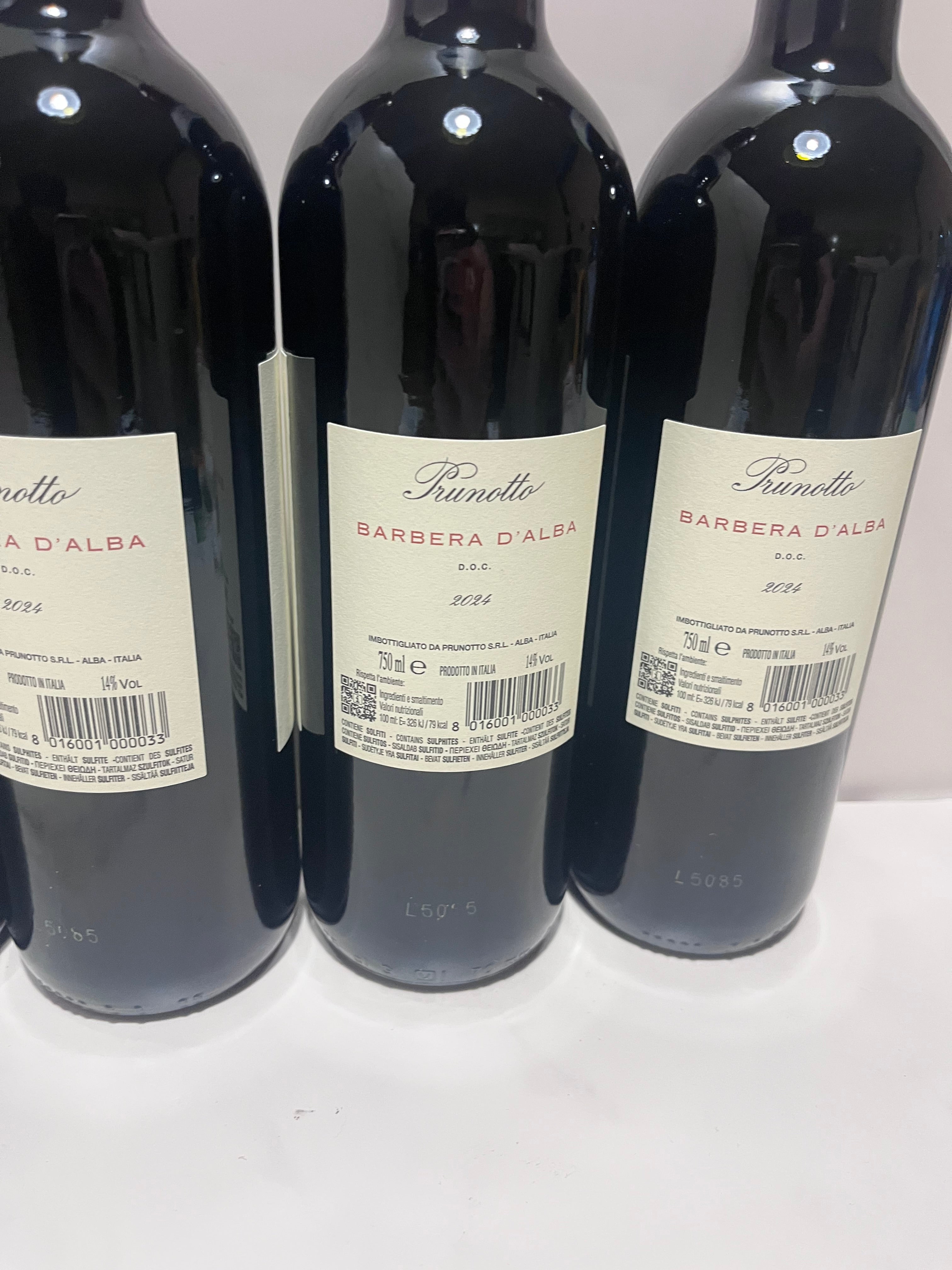 PRUNOTTO BARBERA D’ALBA 2024