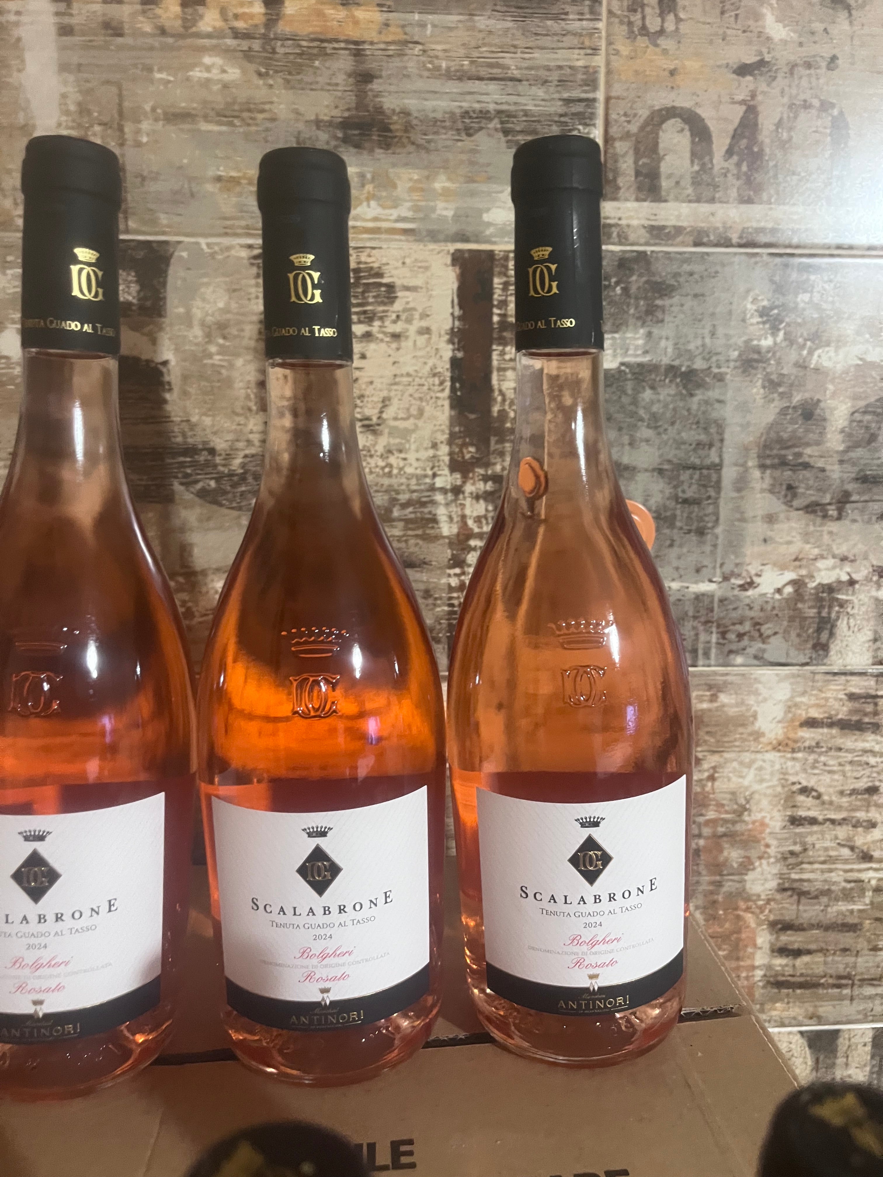 ANTINORI SCALABRONE TENUTA GUADO AL TASSO 2024