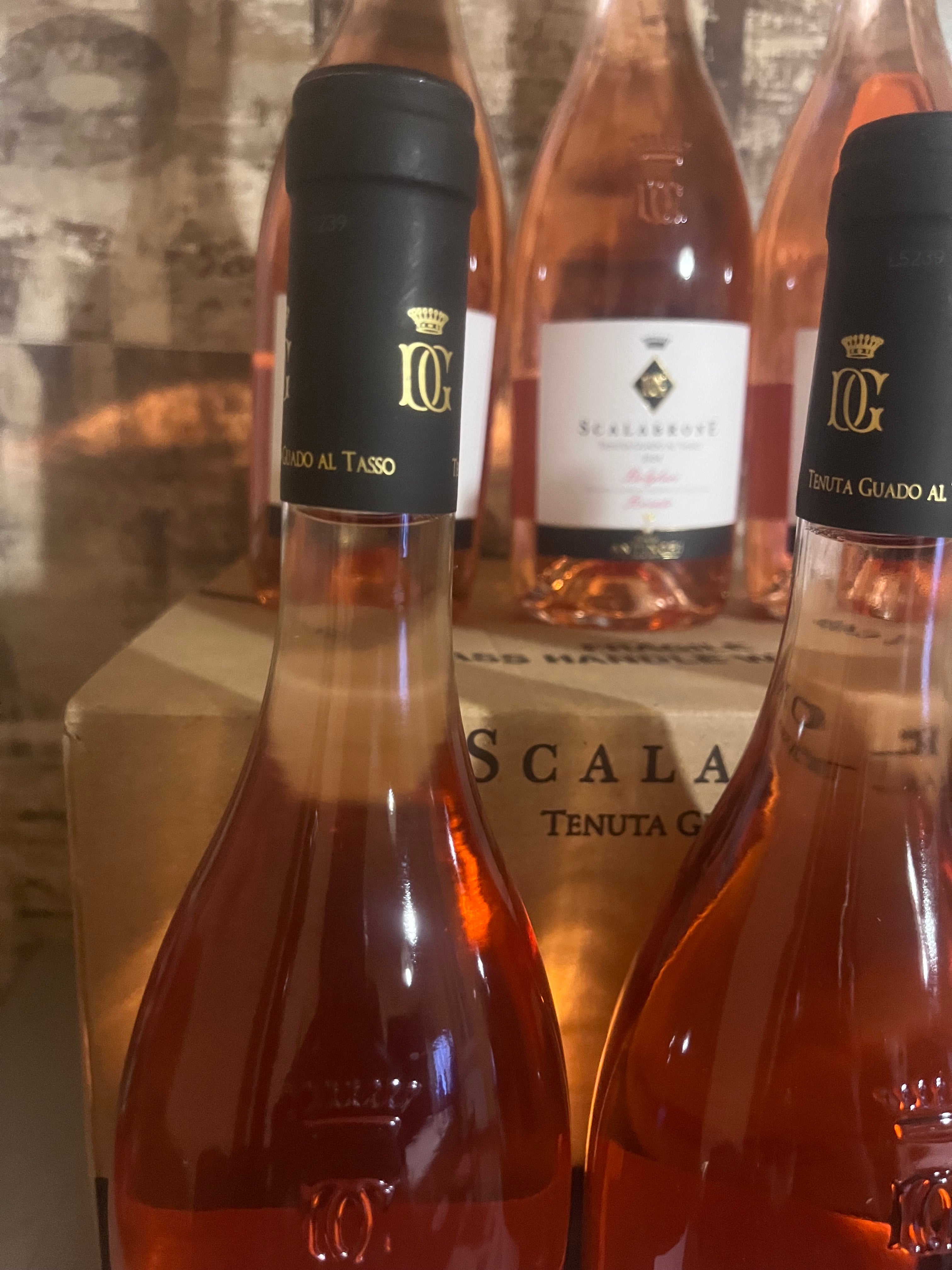 ANTINORI SCALABRONE TENUTA GUADO AL TASSO 2024