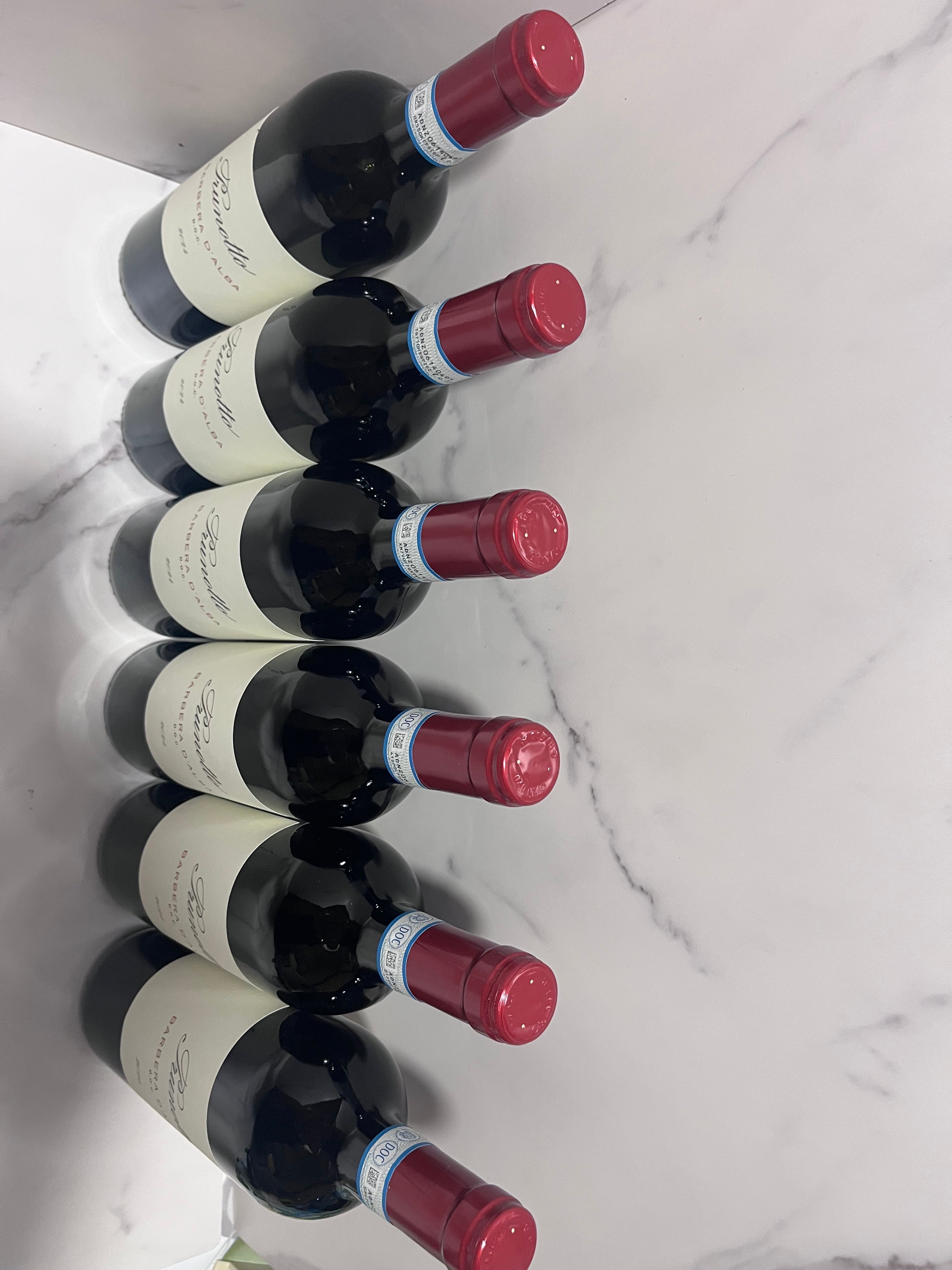 PRUNOTTO BARBERA D’ALBA 2024