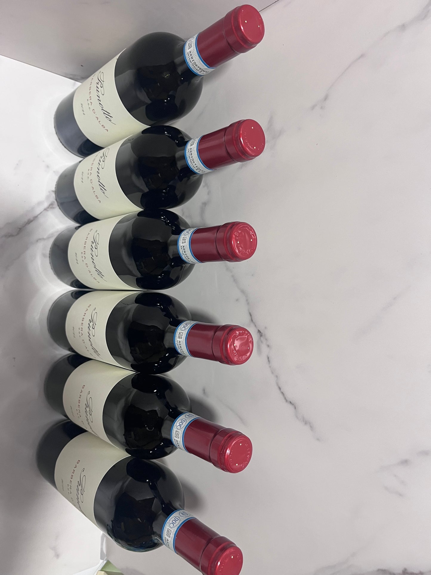 PRUNOTTO BARBERA D’ALBA 2024