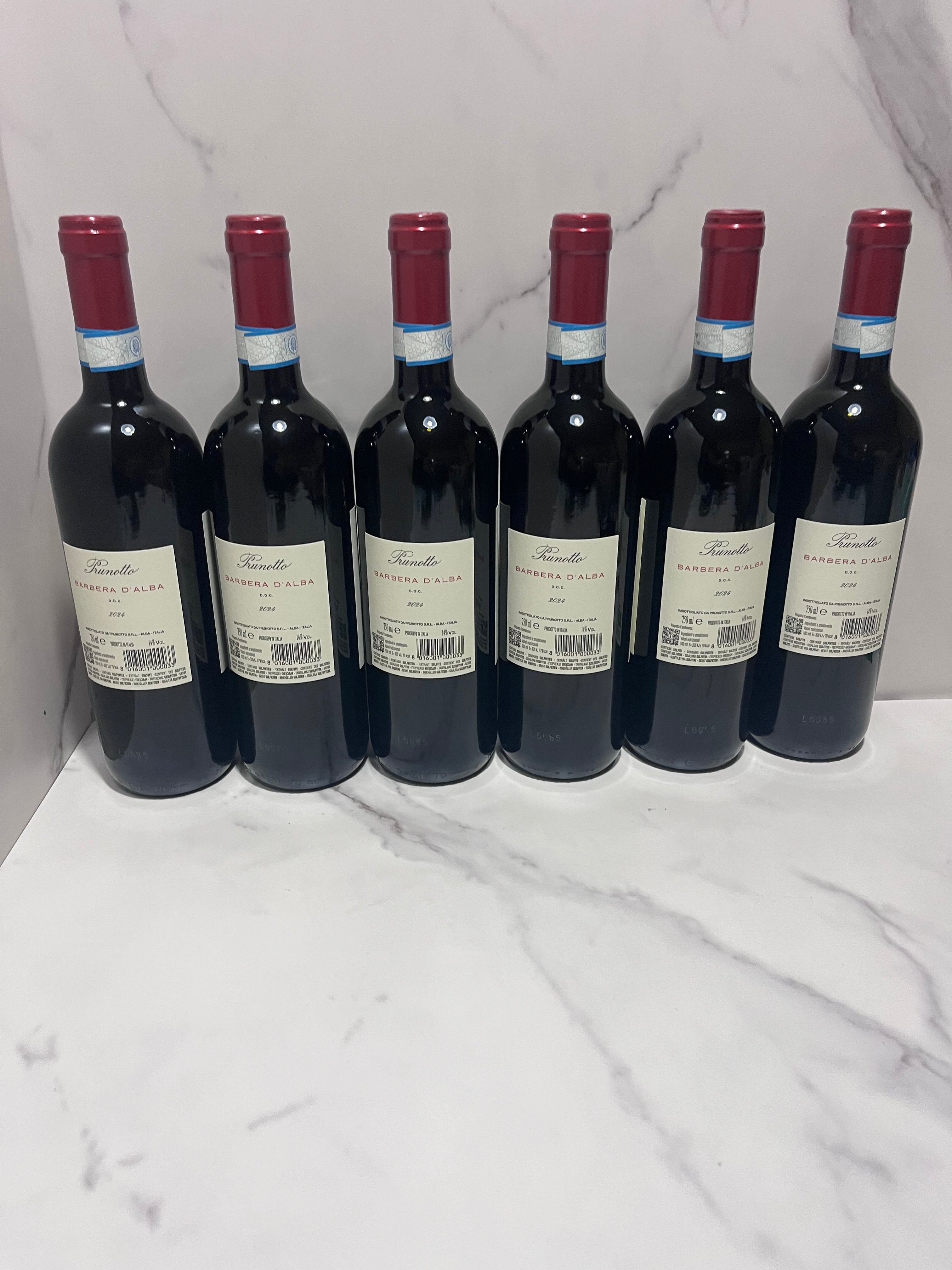 PRUNOTTO BARBERA D’ALBA 2024