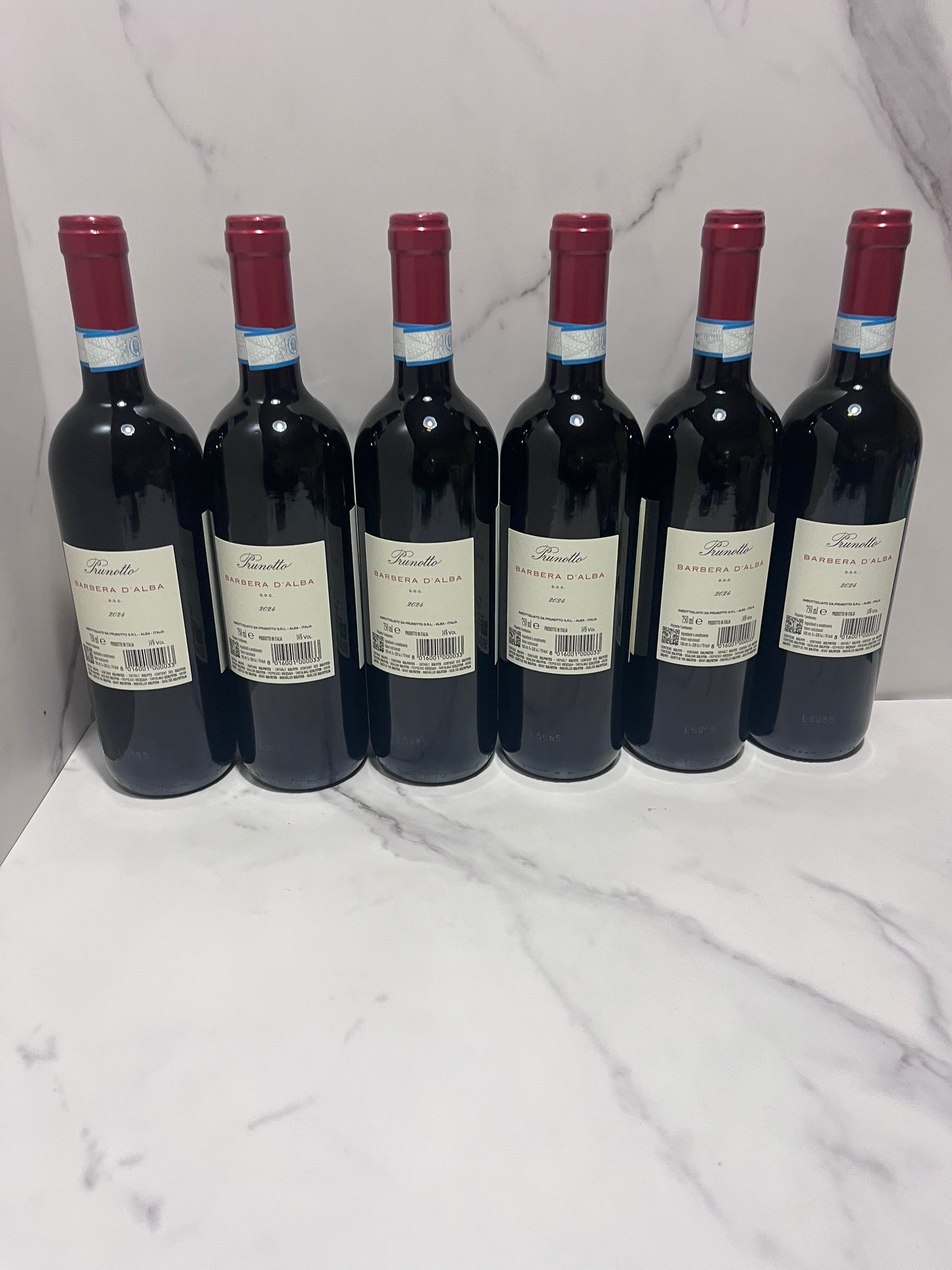PRUNOTTO BARBERA D’ALBA 2024