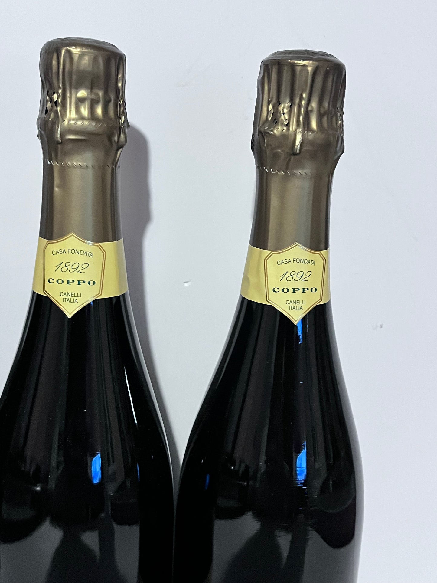 COPPO ALTA LANGA 2020