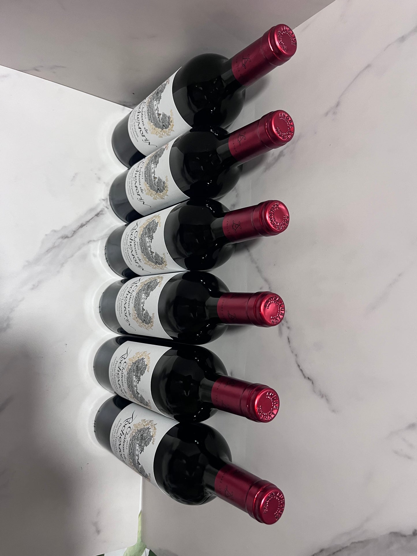 CHÂTEAU DE ROCHEMORIN 2017