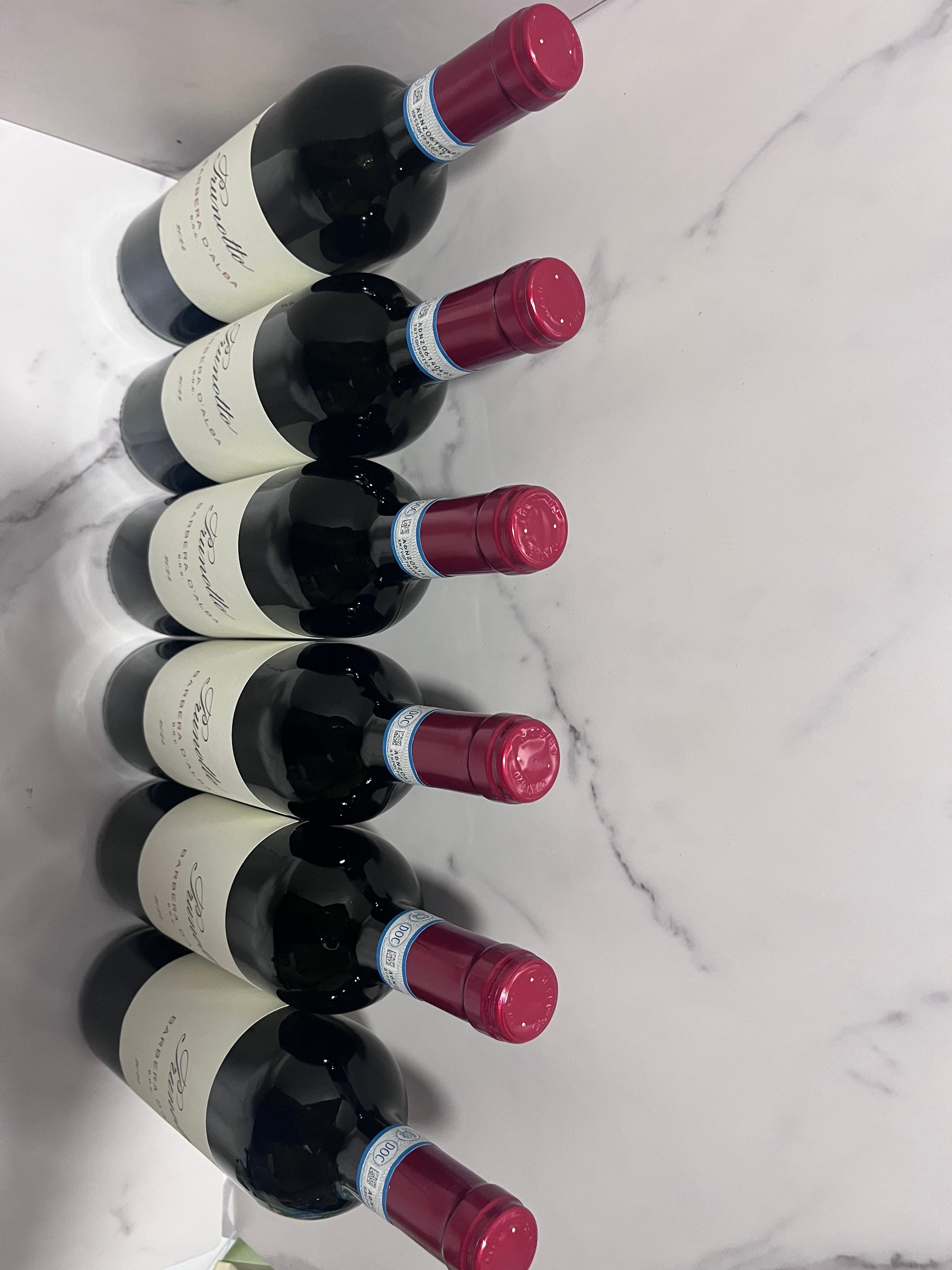 PRUNOTTO BARBERA D’ALBA 2024