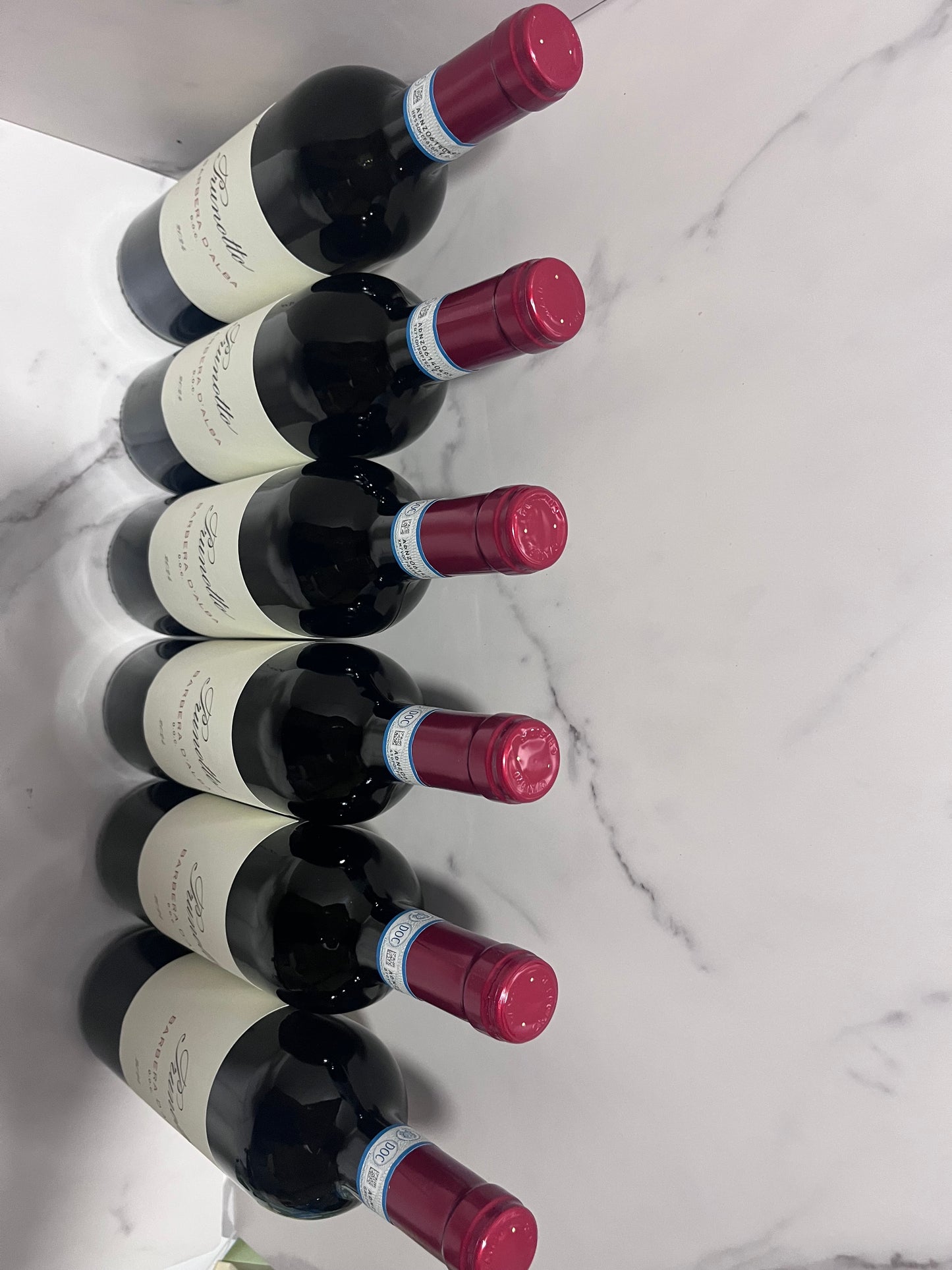 PRUNOTTO BARBERA D’ALBA 2024