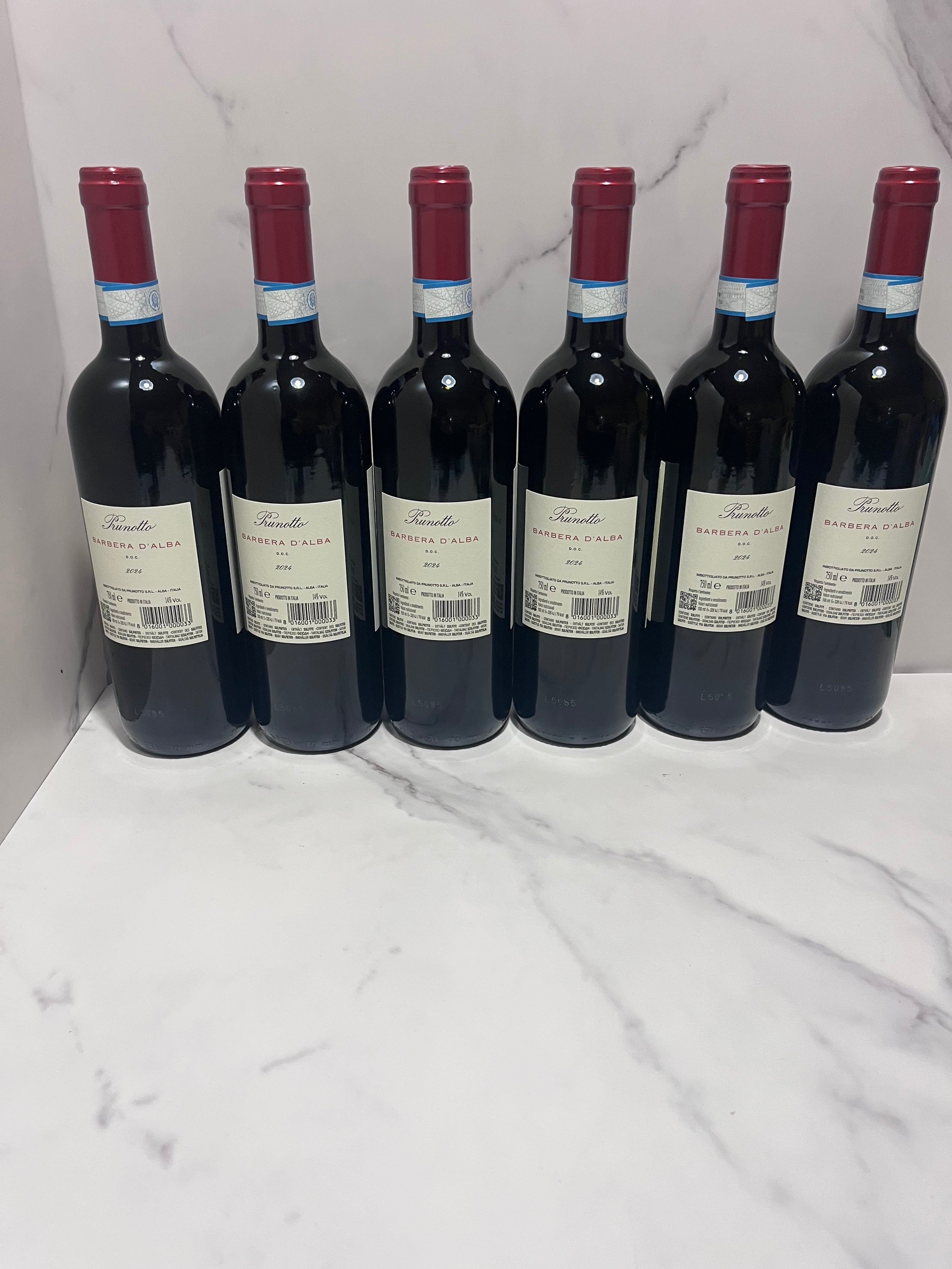 PRUNOTTO BARBERA D’ALBA 2024