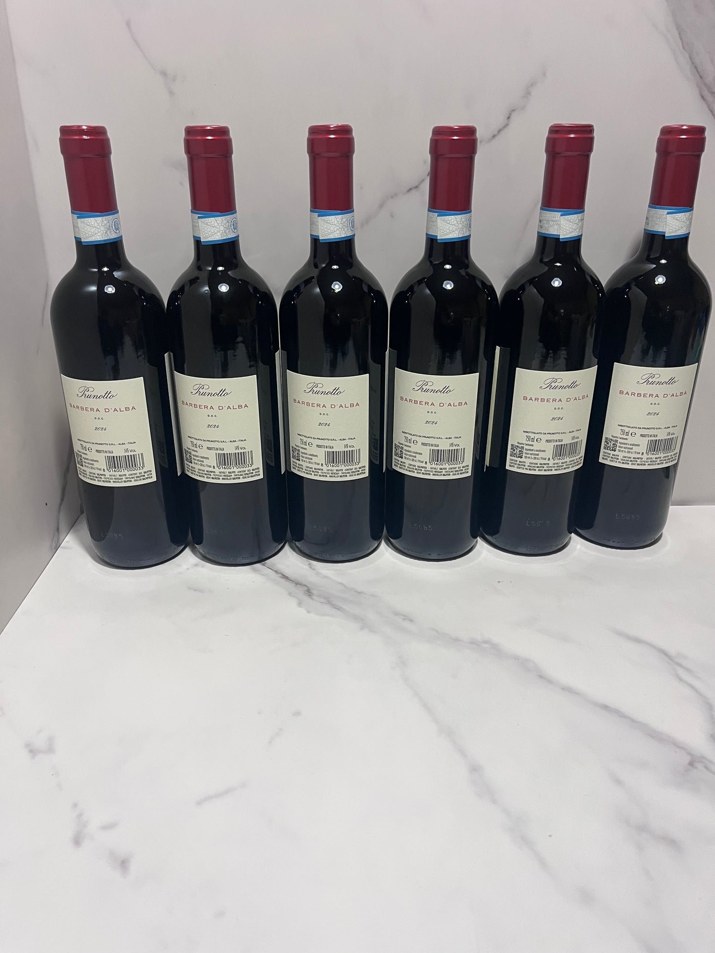 PRUNOTTO BARBERA D’ALBA 2024