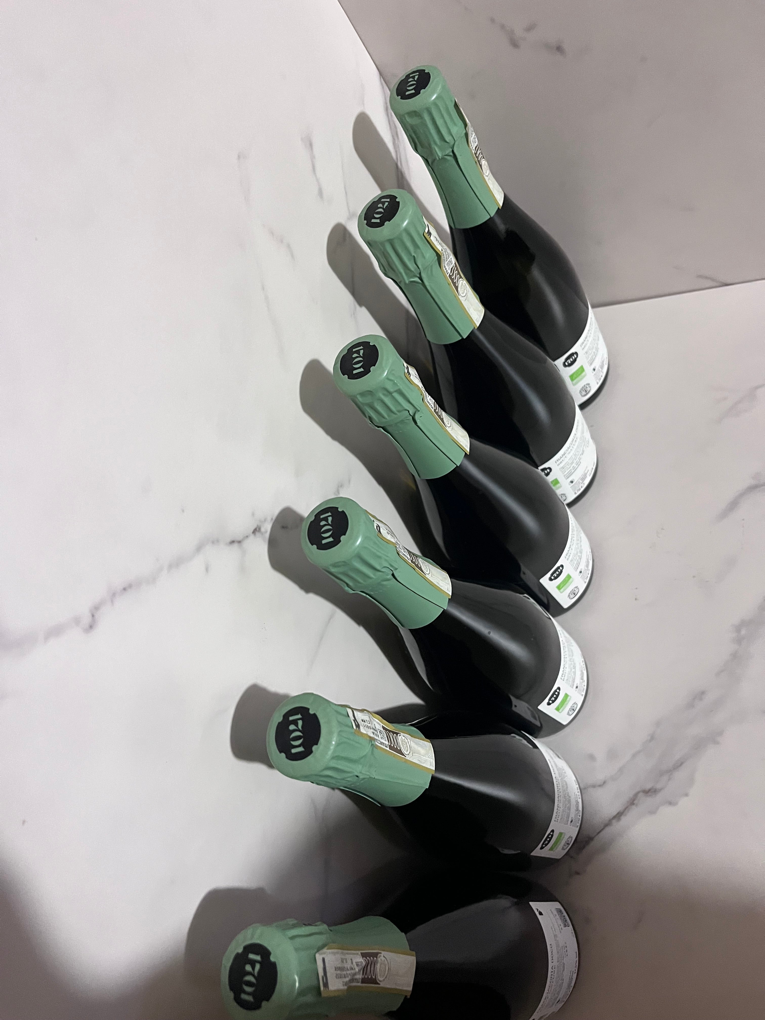 FRANCIACORTA 1701 BRUT NATURE