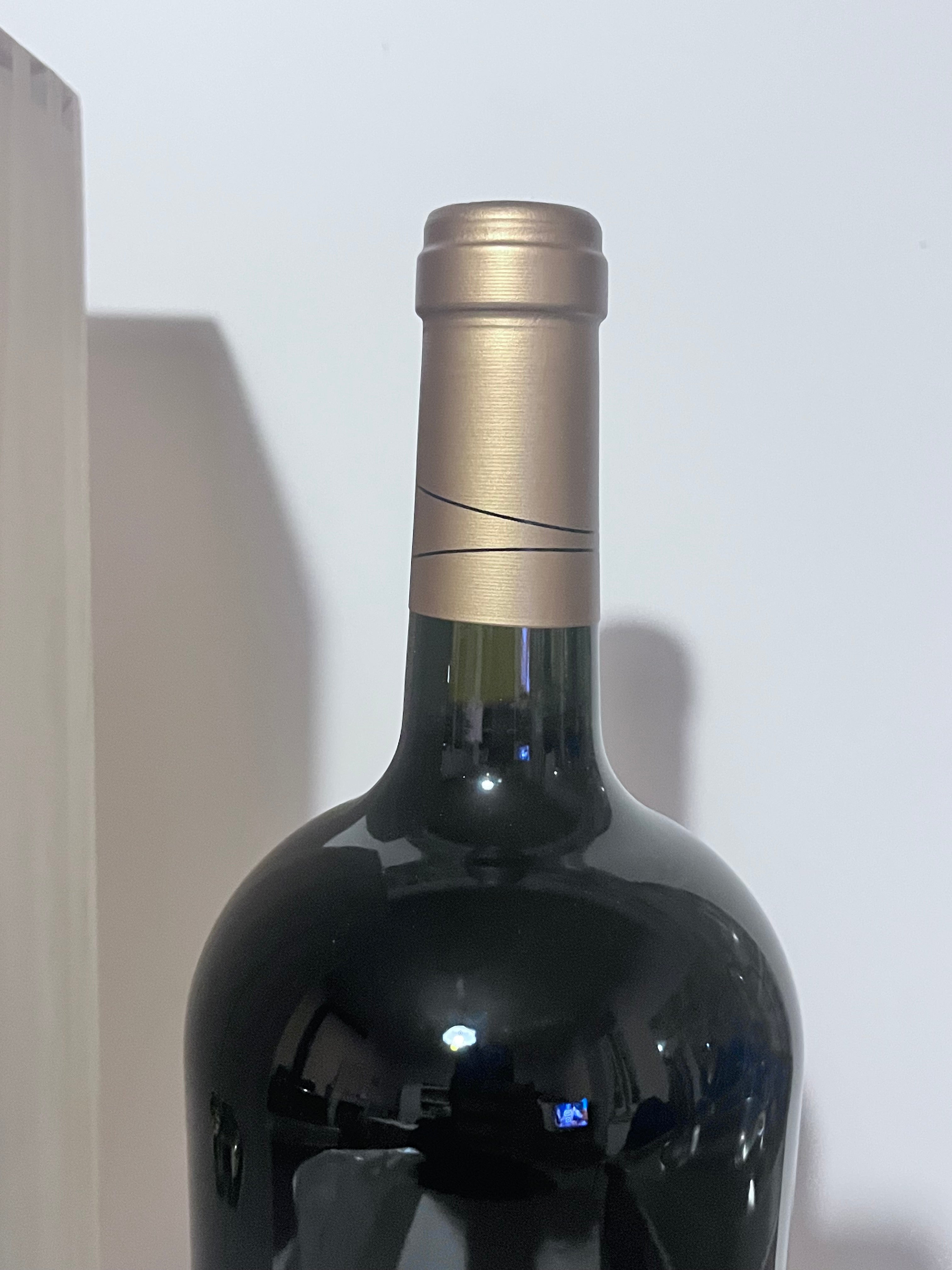 ALBIS 2022 CABERNET SAUVIGNON CARMENERE MAGNUM 1,5L HARAS DE PIRQUE CHILE